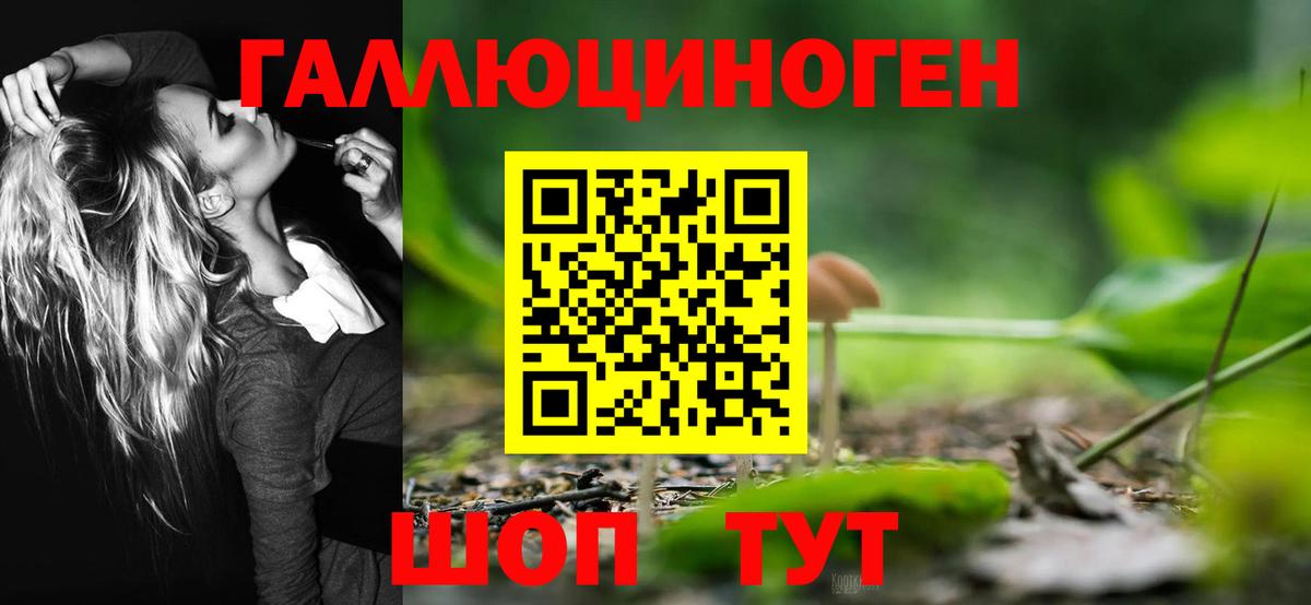 Галлюциногенные грибы Psilocybe  Псилоцибиновые грибы Psilocybine cubensis  Вход с VPN  Шадринск 