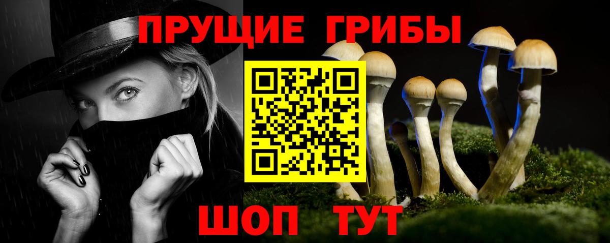Галлюциногенные грибы мицелий Шадринск